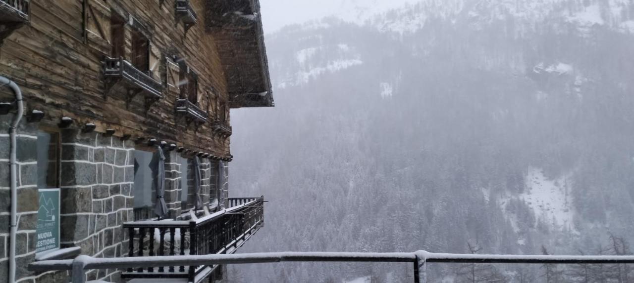 Hotel & Restaurant Perret - Mountain People Valgrisenche Exterior photo